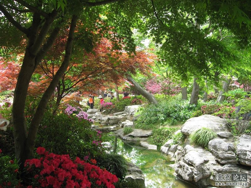 南通缺少滨江森林公园!保护长江岸线资源!不要