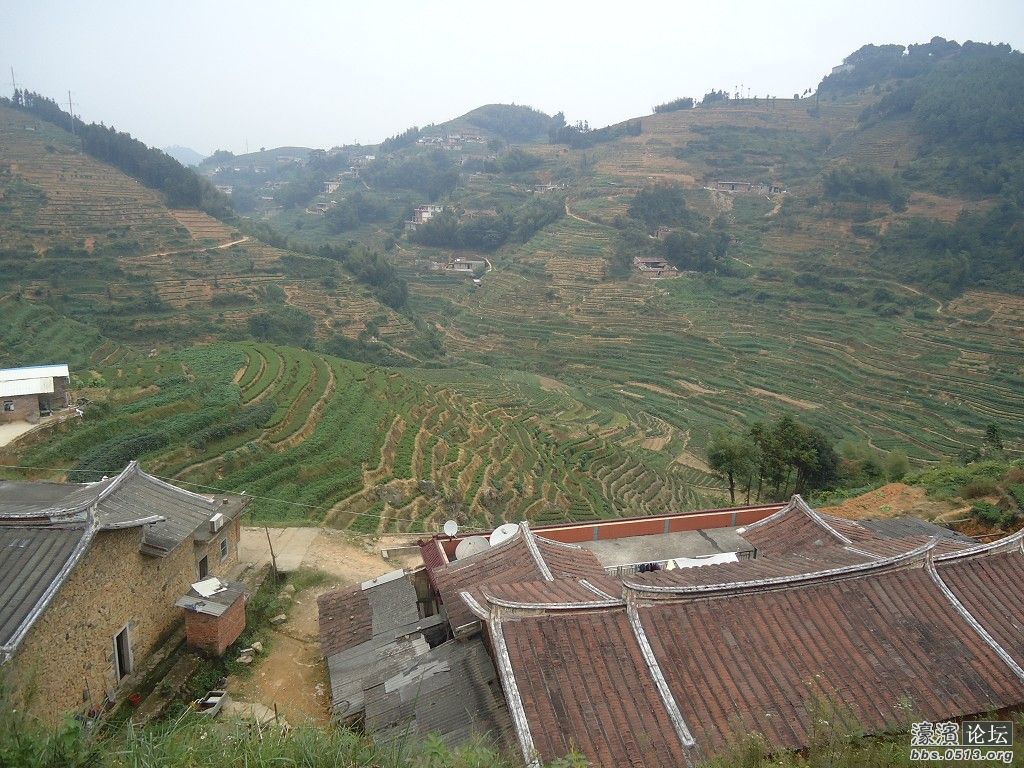 茶叶<em>妹</em>的村子,欢迎朋友们能到<em>福建</em>去看看哦。