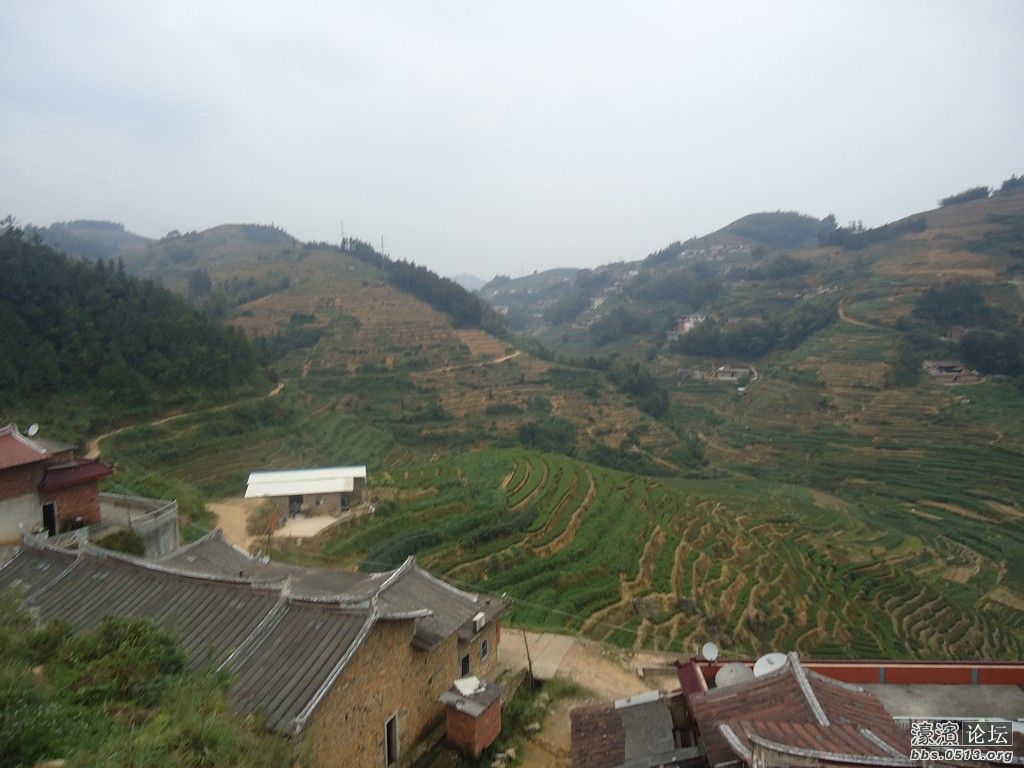 茶叶<em>妹</em>的村子,欢迎朋友们能到<em>福建</em>去看看哦。