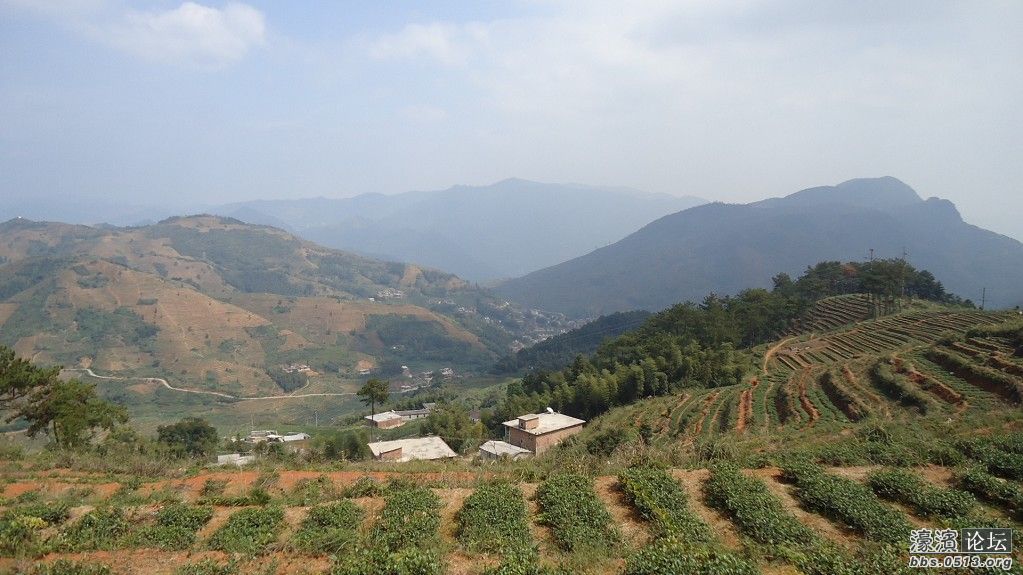 <em>茶叶妹</em>的村子,欢迎朋友们能到<em>福建</em>去看看哦。