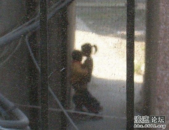 震撼!偷拍小<em>朋友</em>模仿<em>做爱</em>! - 夜店生活 - 濠滨论