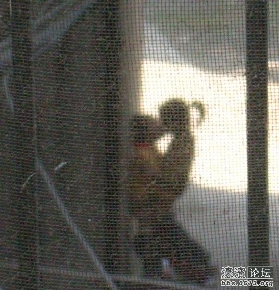 震撼!偷拍小<em>朋友</em>模仿<em>做爱</em>! - 夜店生活 - 濠滨论