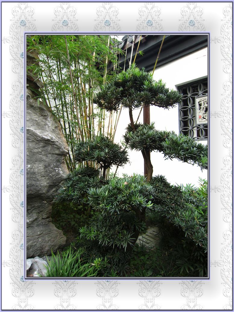 城市绿谷原名陈氏花园,位于港闸区芦泾港村,具有100多年的历史。著名建筑家孙支夏设计了园内的欧式别墅、车库及仆佣房、传统中式风格的西院附房,另有假山、荷花池等。然而,由于历史原因,这座百年名园逐渐走向衰败。 前年,政府决定对陈氏花园及其周边地区进行整体保护和开发,让它成为市民休闲旅游的好去处。