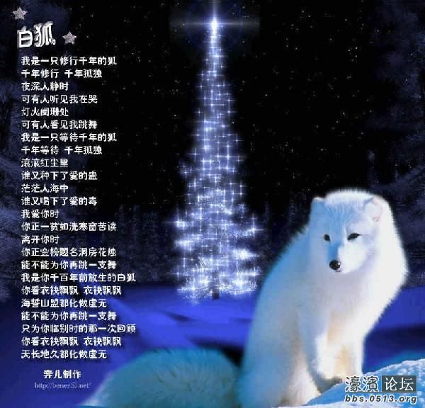 白狐