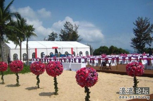 山西煤<em>老板</em>7000万嫁<em>女儿</em> 三亚丽丝卡尔<em>酒店</em>办
