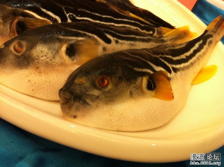 海口哪里吃海鲜环境好_凤姐吃海鲜大餐_江苏哪里可以吃海鲜(2)