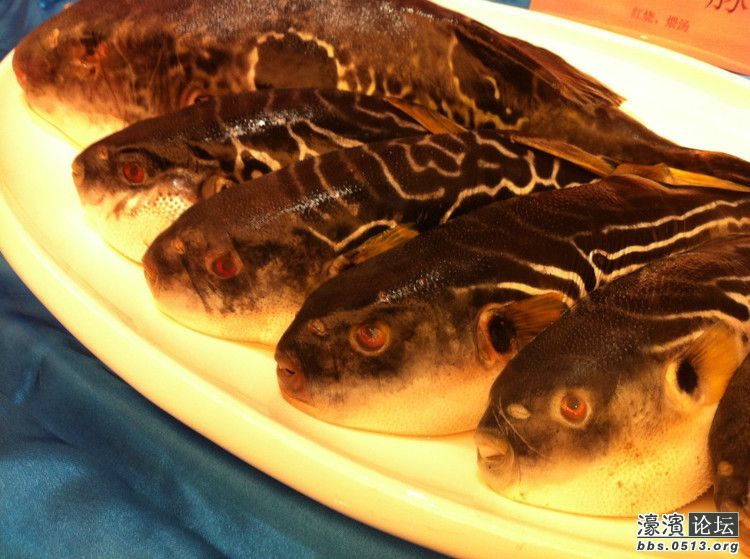 上海哪里吃海鲜好_吃海鲜喝啤酒过敏症状_江苏哪里吃海鲜(4)