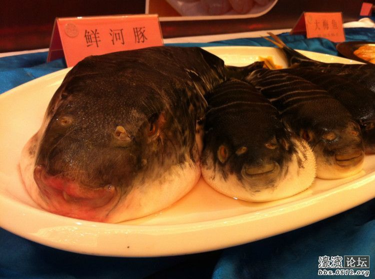 上海哪里吃海鲜好_吃海鲜喝啤酒过敏症状_江苏哪里吃海鲜(2)