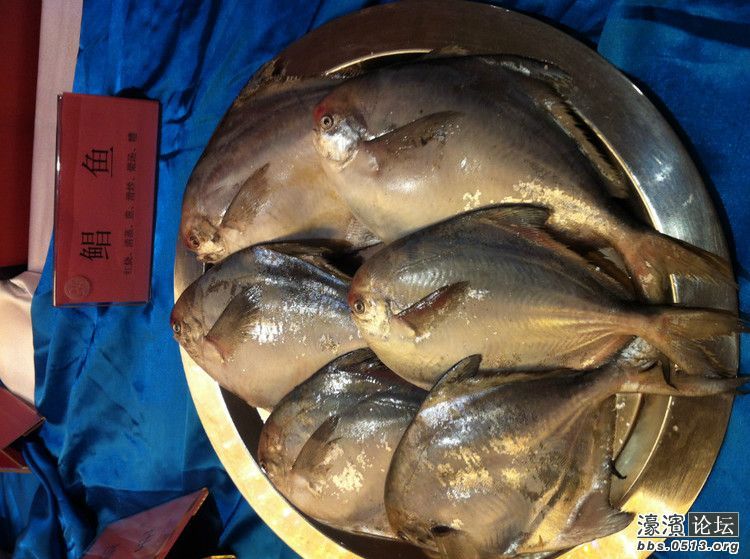 海口哪里吃海鲜环境好_凤姐吃海鲜大餐_江苏哪里可以吃海鲜(2)