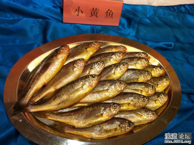 海口哪里吃海鲜环境好_凤姐吃海鲜大餐_江苏哪里可以吃海鲜