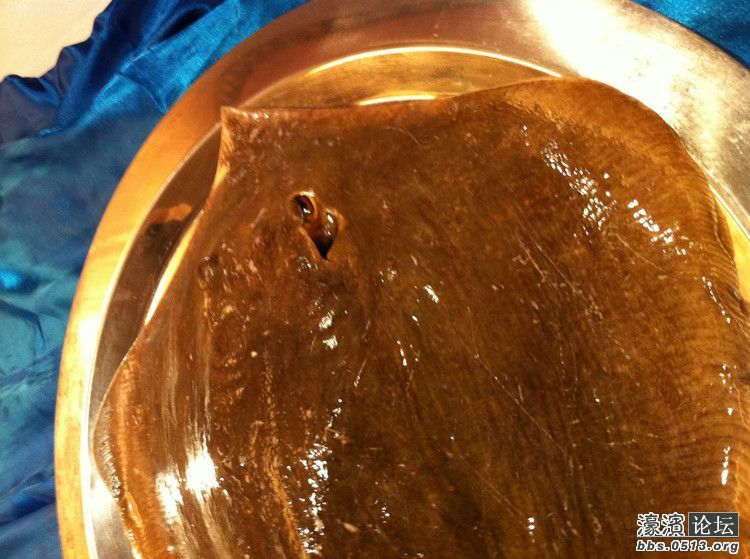 上海哪里吃海鲜好_吃海鲜喝啤酒过敏症状_江苏哪里吃海鲜
