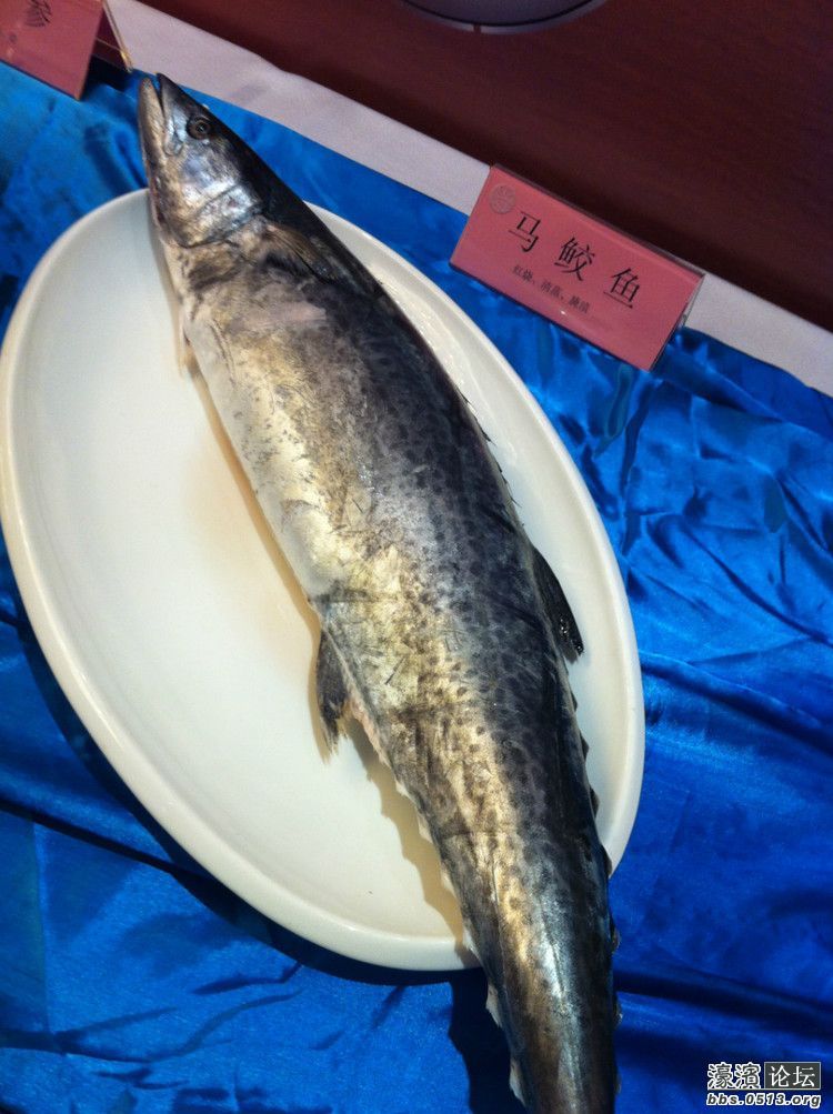 上海哪里吃海鲜好_吃海鲜喝啤酒过敏症状_江苏哪里吃海鲜