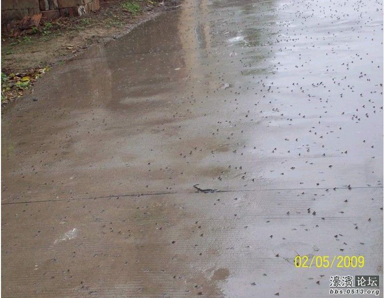 这几天一有大雨农村公路上将出现壮观的景象