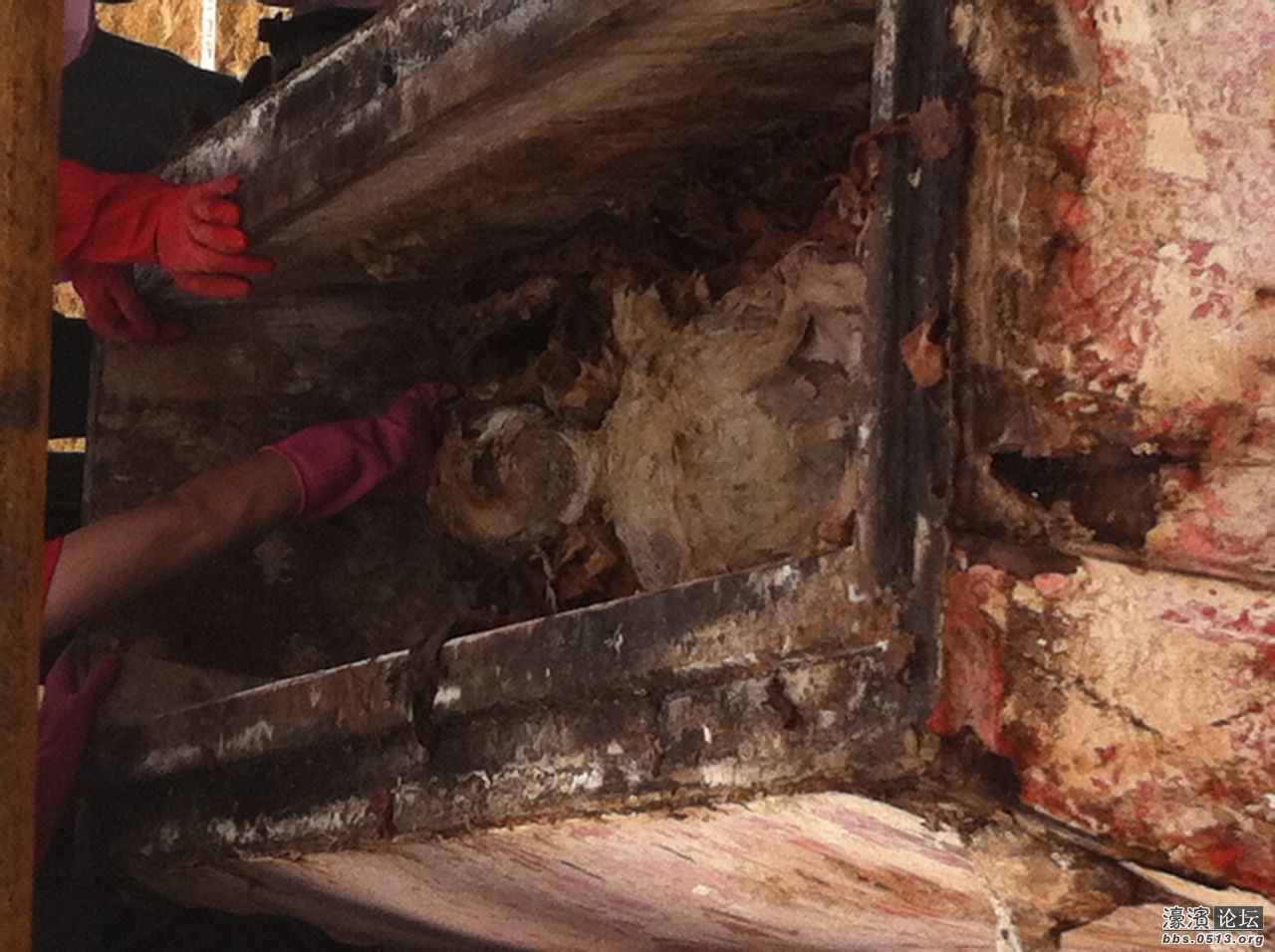 发现明代<em>冥婚</em>墓 直播开棺 冒死跟拍(转自某某论