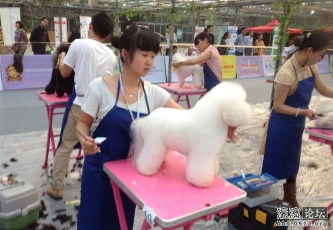 宠立坊宠物店美容师张娜顺利通过NGKC苏州A