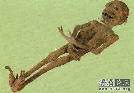 传说中的杀人水鬼 水猴  全无可爱之象-静海杂谈