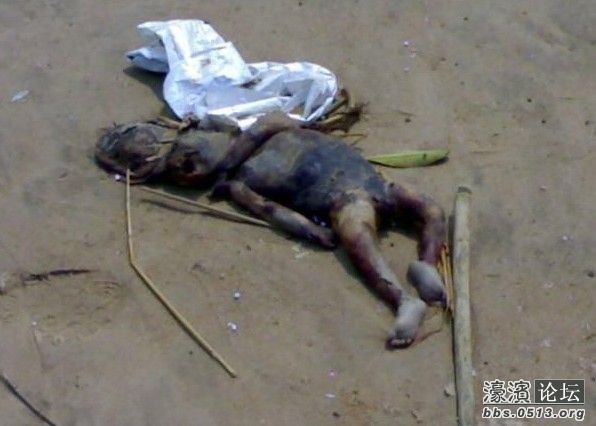 传说中的杀人水鬼 水猴  全无可爱之象-静海杂谈