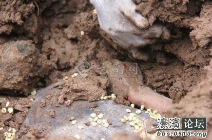 杭州一对男<em>同志</em>情侣,相爱10年,用<em>照片</em>记录下他