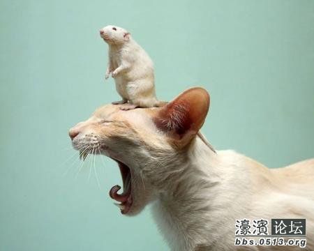 我们越是焦躁的寻找,越找不到自己想要的,只有