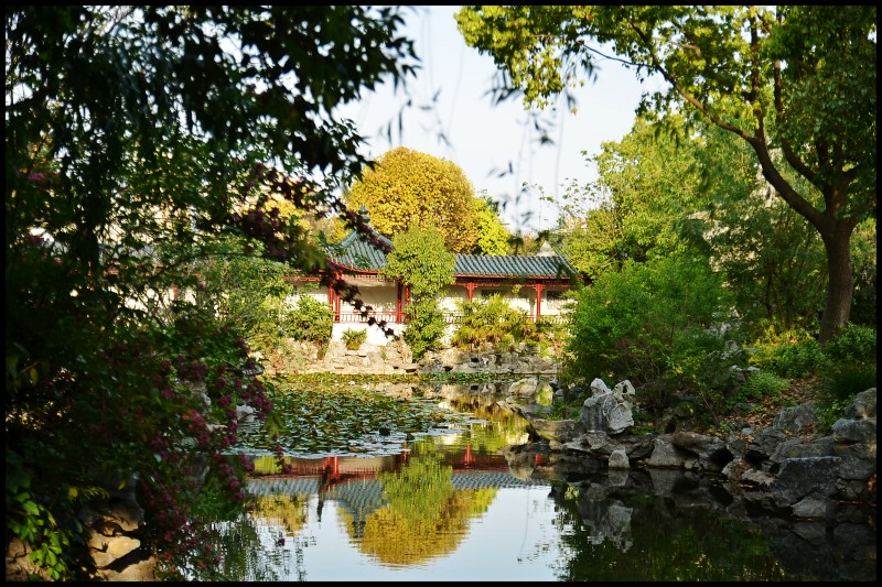 美丽家园---东洲公园 - 南通摄影俱乐部 - 濠滨论坛