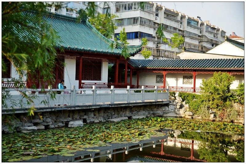 美丽家园---东洲公园