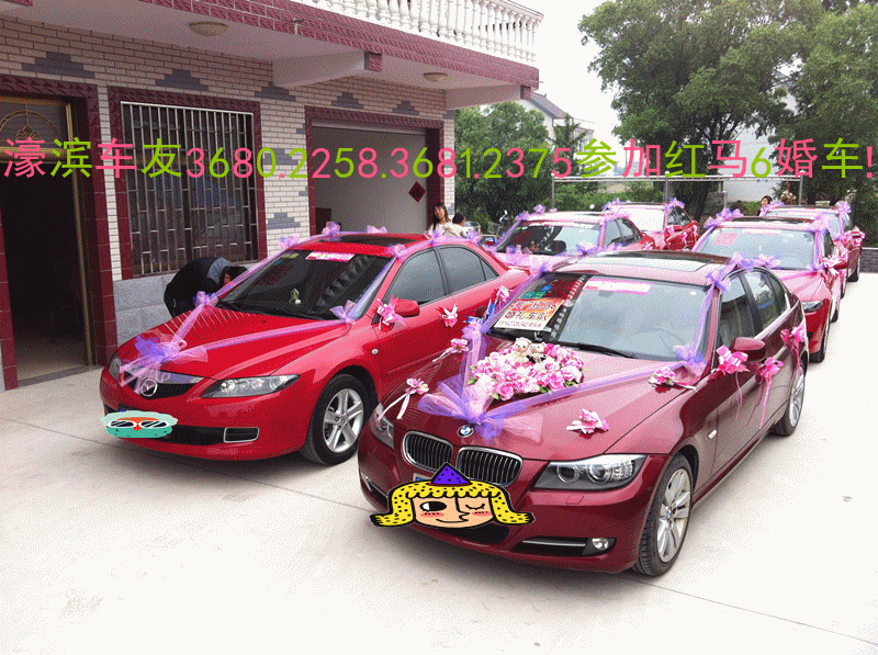 婚车 800_597 gif 动态图 动图