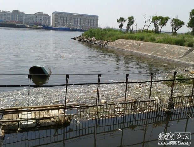 如东洋口大面积死鱼
