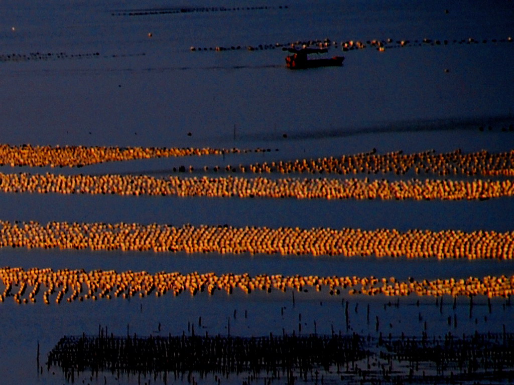 喻可欣老公_喻虹渊_ 朱丽倩电影 