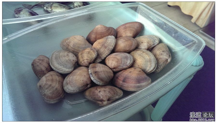 海鲜菜_海鲜大拌菜_海鲜盘菜(2)