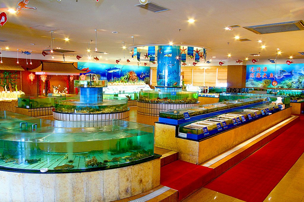 海鲜池制作_高清海鲜池设计图_合肥海鲜池制作中心(2)