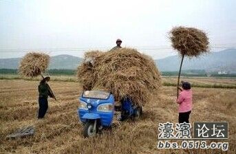 以前农村用的是平板车子到田里拉麦子,他看见濠滨,到我七八岁的时候