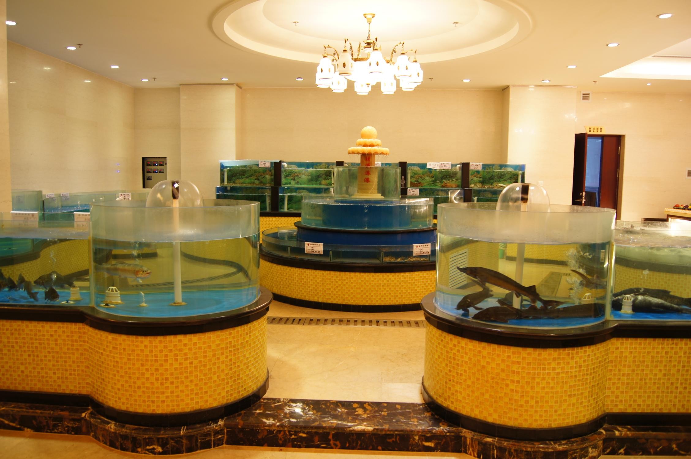 海鲜鱼缸_海鲜鱼缸过滤_海鲜饭店鱼缸图片(3)