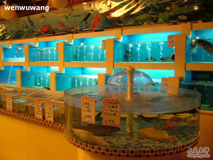 海鲜鱼缸_海鲜鱼缸过滤_海鲜饭店鱼缸图片