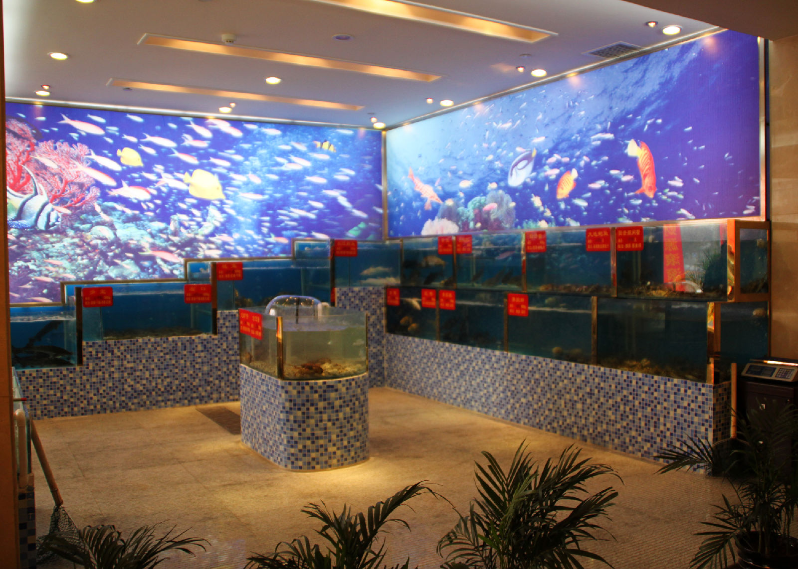 海鲜鱼缸_海鲜鱼缸过滤_海鲜饭店鱼缸图片