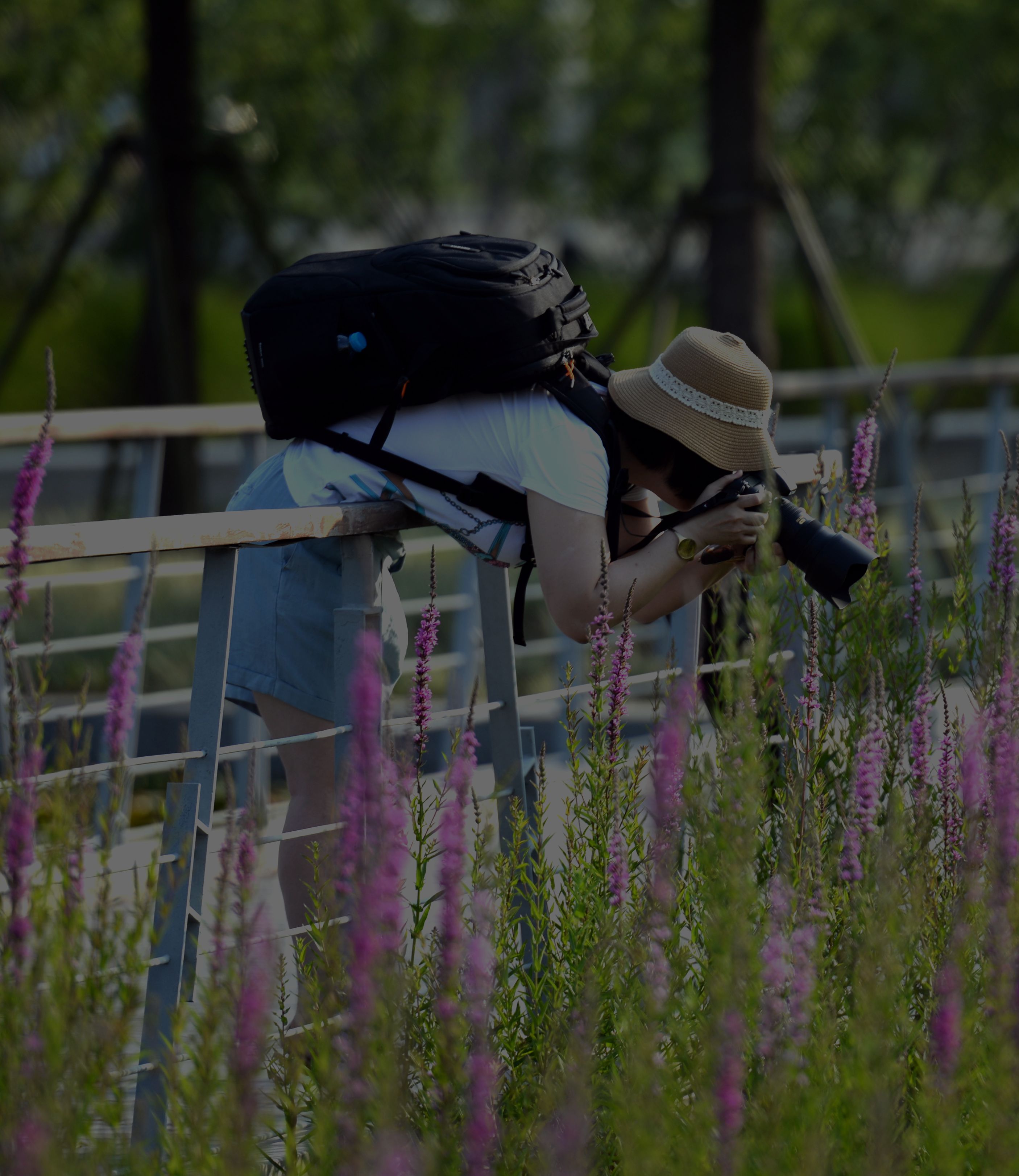 苏通科技产业园拍摄