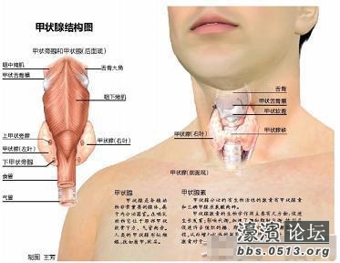 甲状腺脖子图片