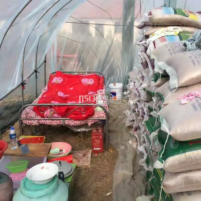 百合是什么意思_纯收入是什么意思(2)