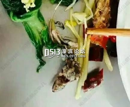 食堂饭菜惊现老鼠图片_WWW.66152.COM