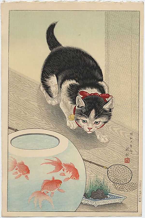 19世纪日本油画家兼版画家ohara koson的画作《猫和金鱼》.