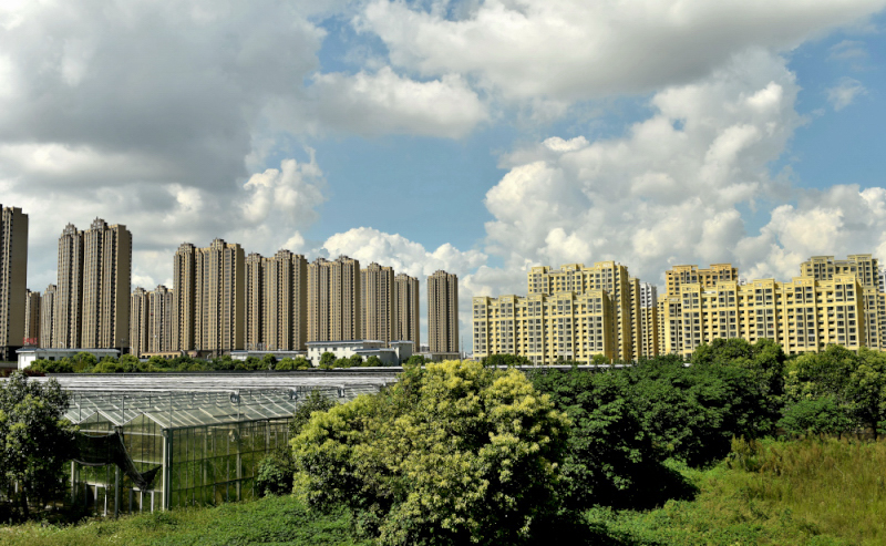 崇川人口网_大美崇川 楼高看风景,人水和谐居