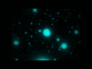 【科学美图】造一只化学