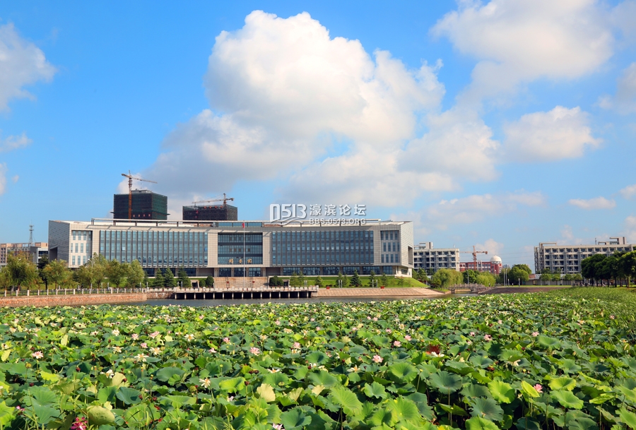 养眼 看看南通大学主校区万荷盛开美景图