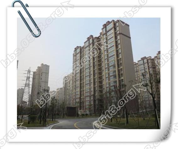143601tyel5e4gzp5p8pgv.jpg 143601tyel5e4gzp5p8pgv.jpg