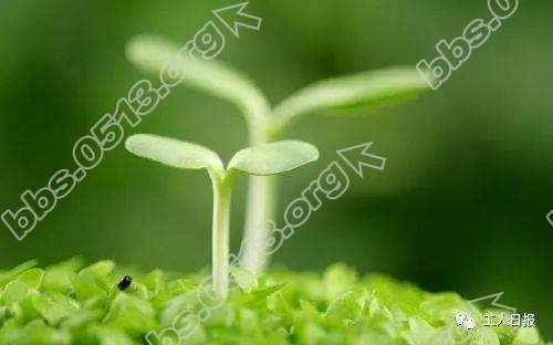 19a28697311fd8327423d23b873a356f.jpg 19a28697311fd8327423d23b873a356f.jpg
