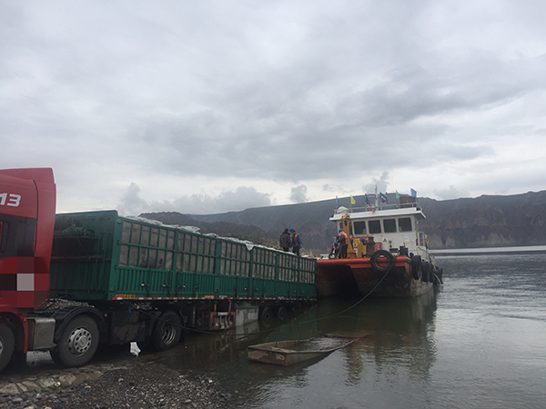 “淡水三文鱼”到底是什么鱼?实地探访青海省龙羊峡水库 “淡水三文鱼”到底是什么鱼?实地探访青海省龙羊峡水库