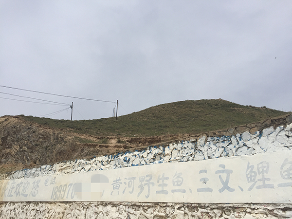 “淡水三文鱼”到底是什么鱼?实地探访青海省龙羊峡水库 “淡水三文鱼”到底是什么鱼?实地探访青海省龙羊峡水库