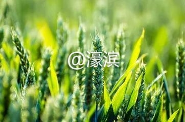 b7023f7d7fea55973157f3348076ea4f.jpg b7023f7d7fea55973157f3348076ea4f.jpg