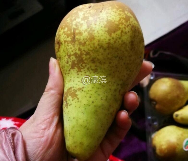 36.jpg 36.jpg