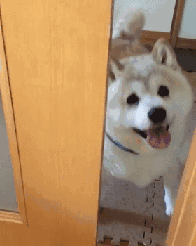 i  o2 w4 | v9 b% k(来自:濠.滨.论.坛 bbs.0513.org   南通.濠.