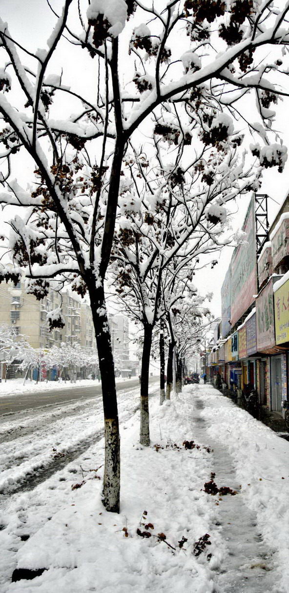 下雪无聊拍的很白很暴力的照片